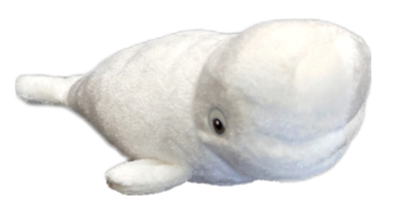 Bailey der Beluga als Plüschtier - Findet Dorie